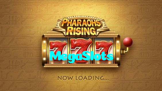 available types of MegaSlots bet including pre-match live express and system bets